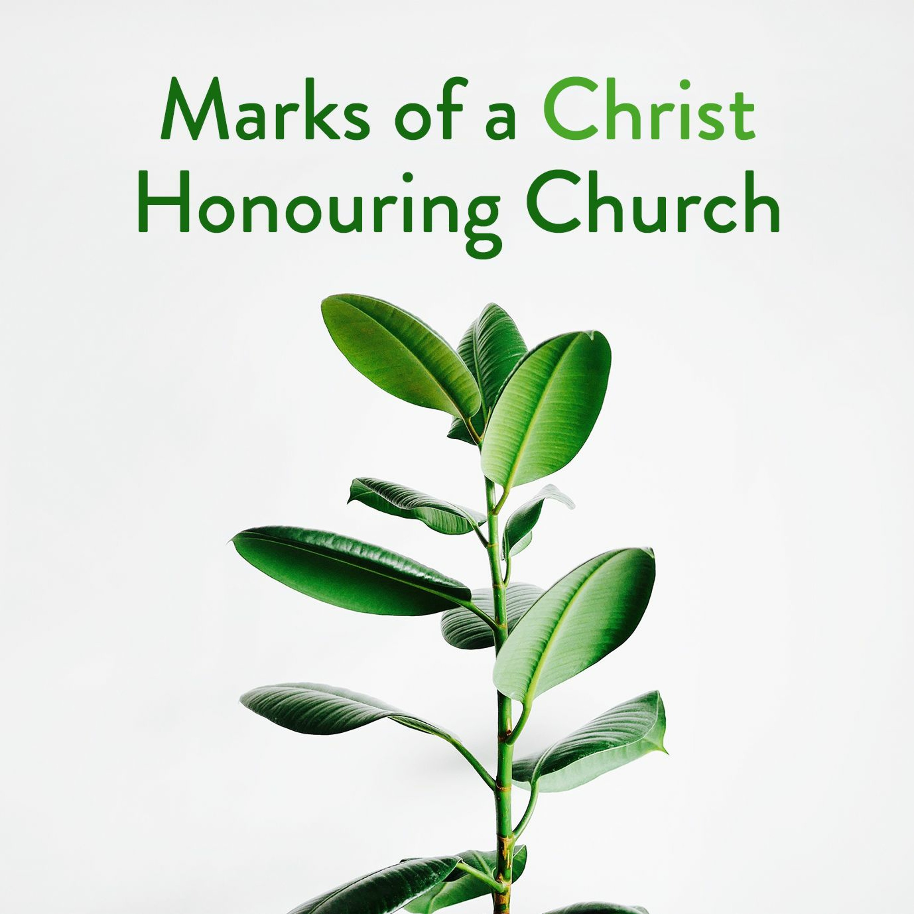 Royal York Baptist Church