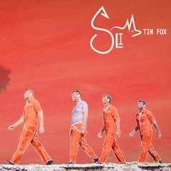 Molly - (Tapetown re-mix)