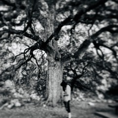 UqLy DuKLiNG+Pr3TTy XHikK - YMN