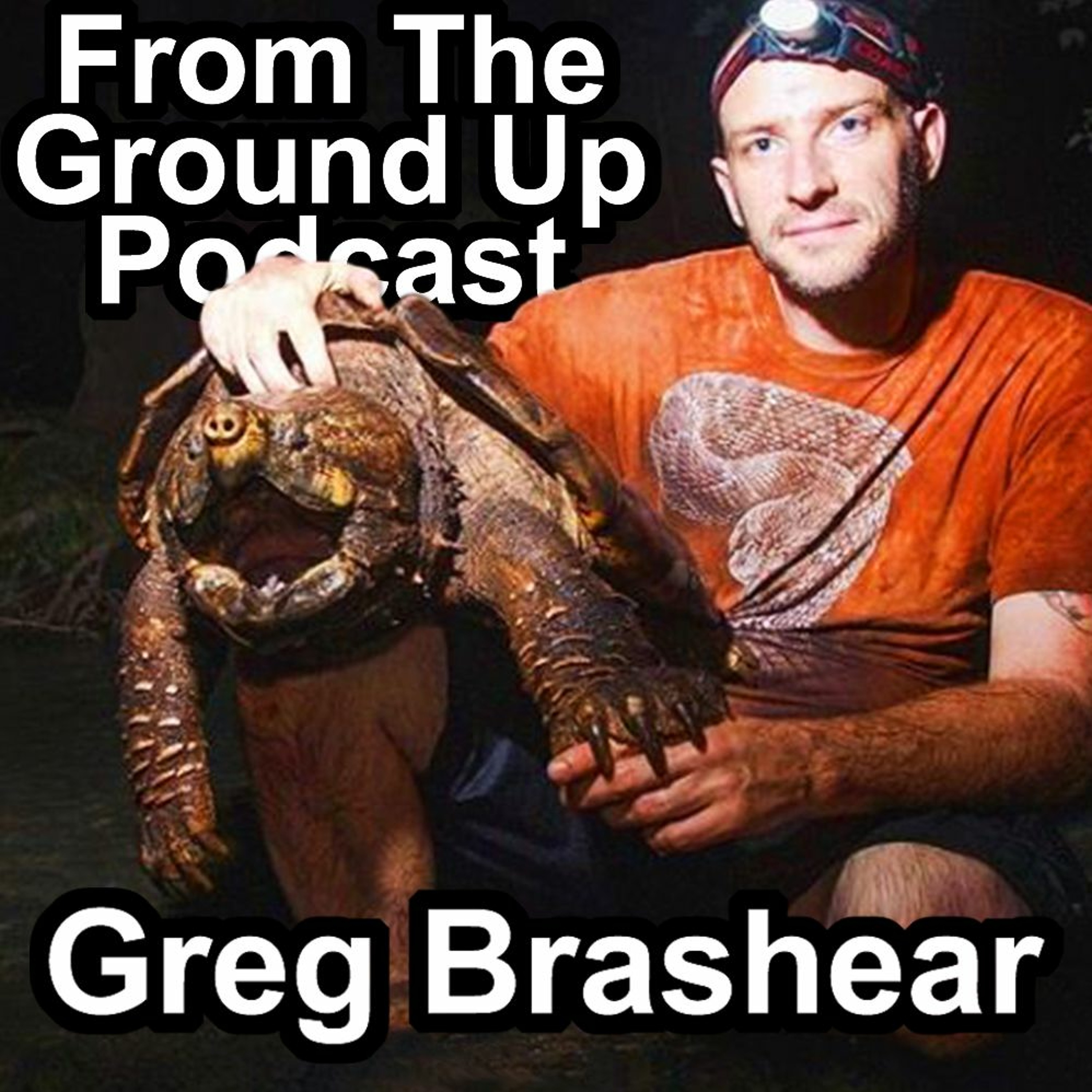 Turtles & Tortoises W/ Greg Brashear of Greg’s Turtle Haven
