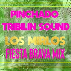 Pinchado & Tribilin Sound - Fiesta Brava Mix