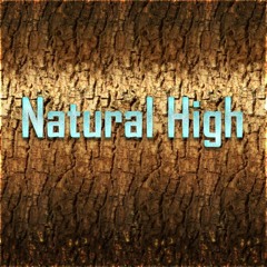 Natural High - V2 - Mike Miller