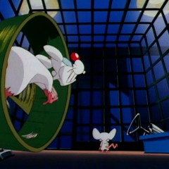 Pinky and The Brain Intro