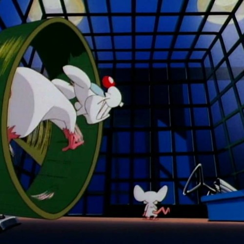 Pinky and The Brain Intro