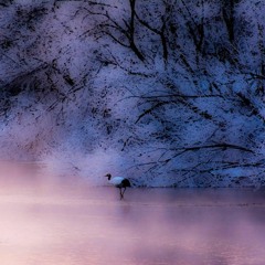 Mộng mơ và lãng quên của chị Sương và anh Nam