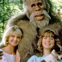 LastWeekInAWashingtonForest