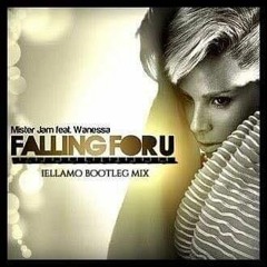 B.R.Mister Jam Feat. Wanessa - Falling For You (IELLAMO Bootleg Mix)