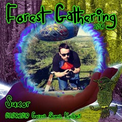 Dj Suxor - Forest Gathering 2019 (Old School Goa Mix)