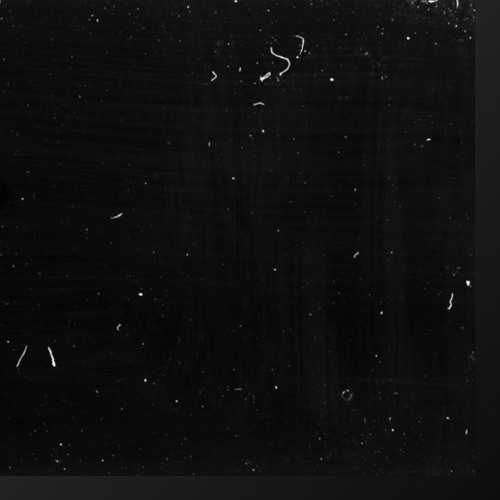 Boy on the moon / Whale (tristan isak bendixen)