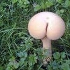 Fucked Up Granular Stuff