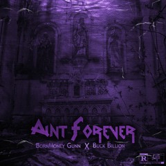 Buck Billion x Bornmoney Gunn "Ain't Forever"