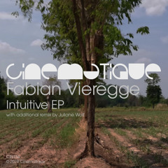 PREMIERE: Fabian Vieregge - Intuitive (Juliane Wolf Remix) [Cinematique]