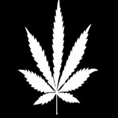 Back Again X LEWY & YSK_NZ