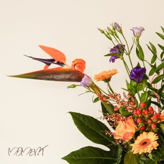 Moment(feat. RIPLEY)   prod. QUIZQUIZ