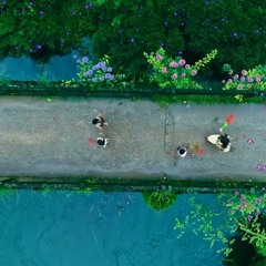 Pookkaalam Varavaayi for Flowers TV