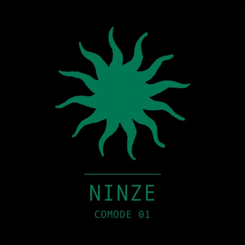 PREMIERE: Ninze - No Sferics & Tweaks [Feines Tier]