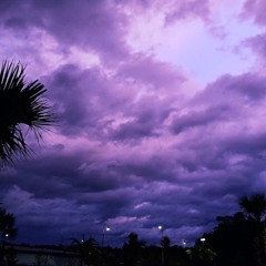 SLIME BLICKII - PURPLE L1NES (Prod. Ric Fade)