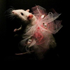 Dance du rat
