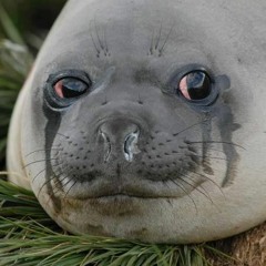 logged into the wrong account lol