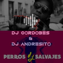 [COPYRIGHT]Daddy Jankee ft. MHD - Perros Salvajes X La Puissance (MASHUP) DJ Cordobés & DJ Andresito