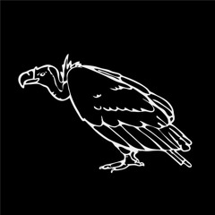 Rutra - Vulture