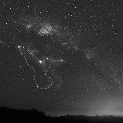 Bear With Me w/ Anthony Kasper