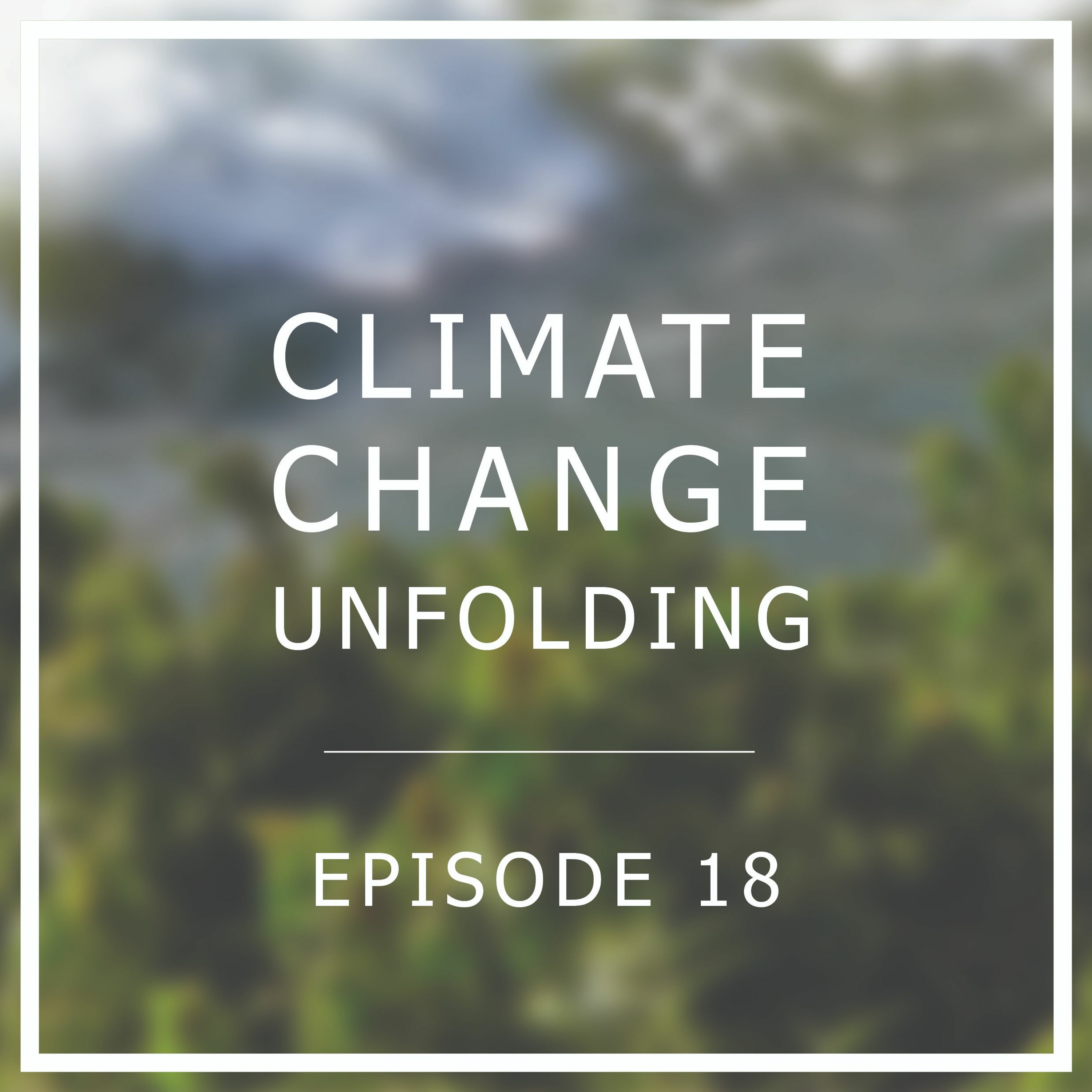 The Global Climate Strikes