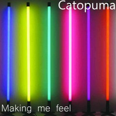 AYYOTRIP050 : Catopuma - Making me feel [Buy - for free download]