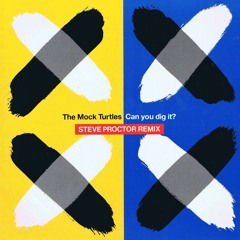 The Mock Turtles - Can You Dig It? (Steve Proctor Remix)