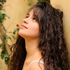 Camila Cabello vs Hardwell ft Jake Reese - Shameless World