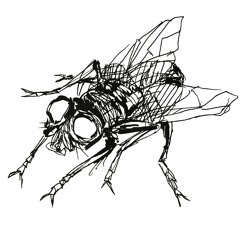 Fly Inside The Ointment [WIP] (Forthcoming Stygian Noise Recordings)