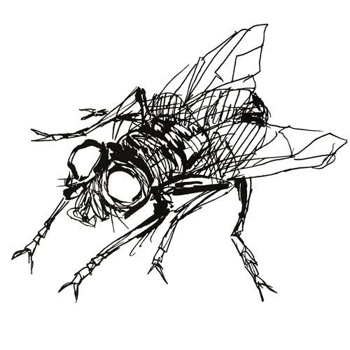 Fly Inside The Ointment [WIP] (Forthcoming Stygian Noise Recordings)