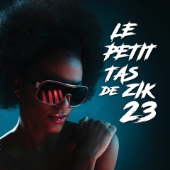 Le Petit Tas de Zik #23