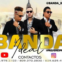 Banda ideal a llorar mi pena