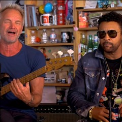 Englishman In New York (Sting And Shaggy)
