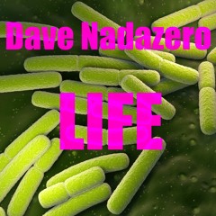 Dave Nadazero - Life