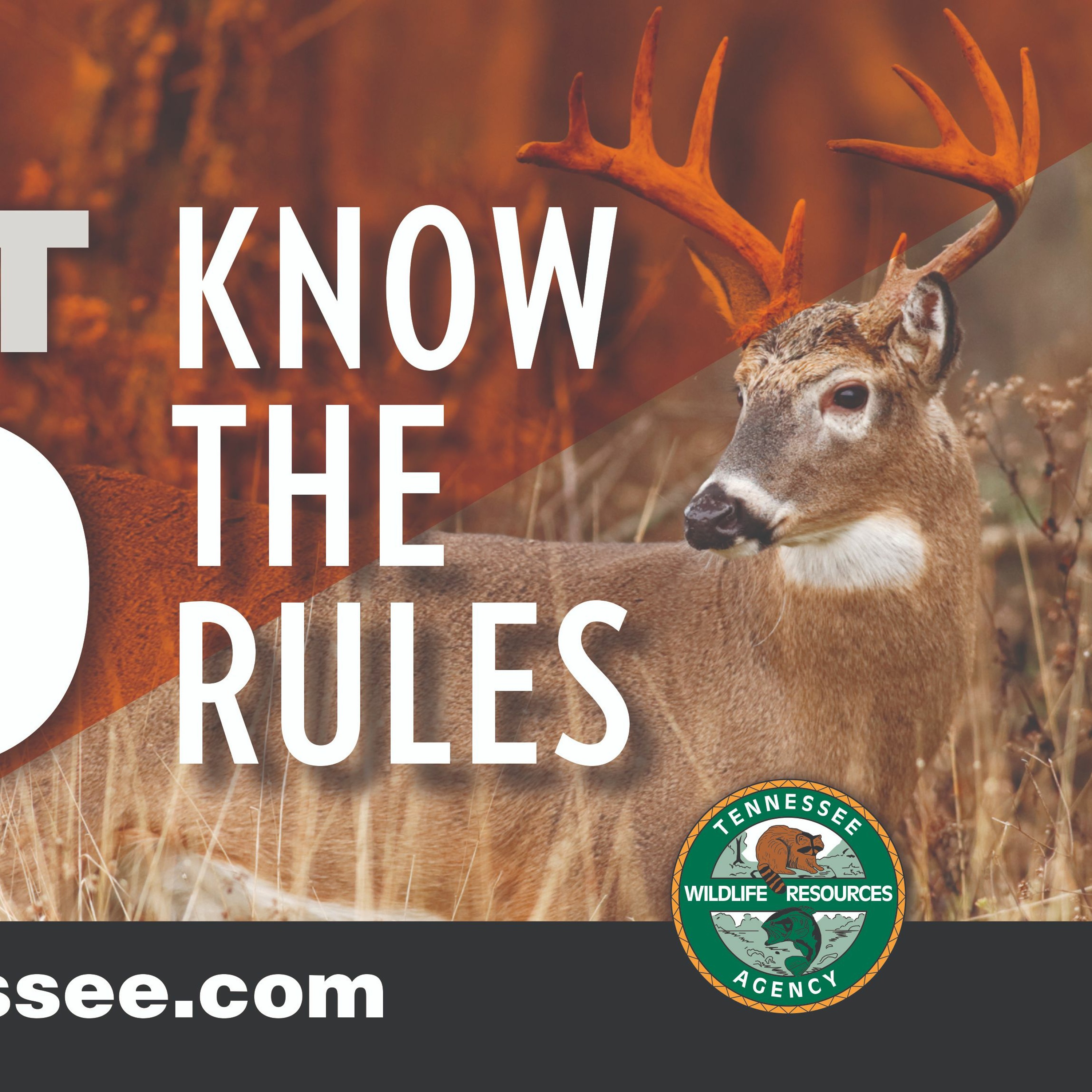 TW 153 - Unit CWD, What You Need To Know