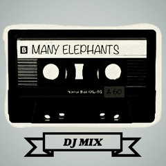 Many Elephants - Vanishing Point Bar Grooves Mix