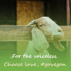 Placebo - This Picture (Vegan Piano Guy rework)