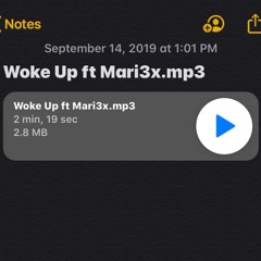 Woke Up Ft. Mari3x (prod by.Dak)