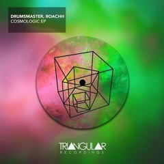 DrumsMaster, Roachh -  Cosmologic (Original Mix)