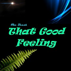 The Beash - That Good Feeling