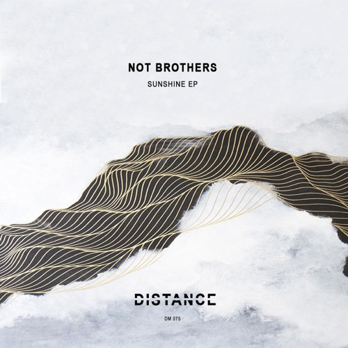 Not Brothers - 106 to Chicago by Distance Music | Free Listening on ...