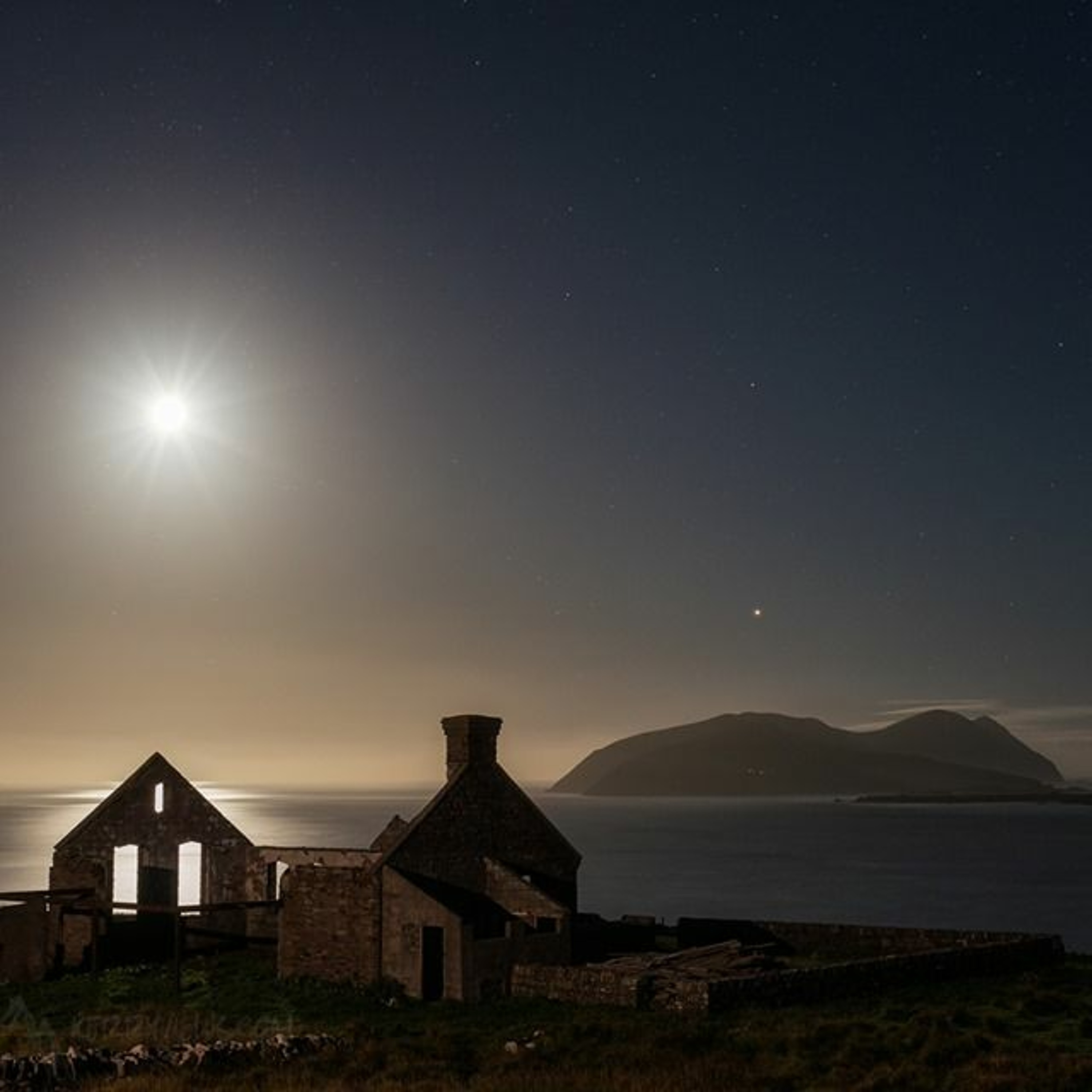 Shane Daly
