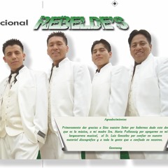 Mix De Exitos Int Rebelde's Vol 3mp3