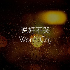 周杰倫 Jay Chou - 说好不哭 Won't Cry (Cover)
