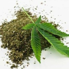 Hijo De Yerba Seca