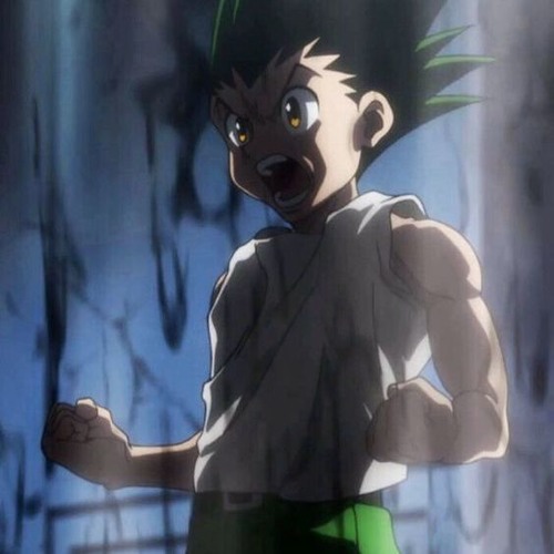 Gon hunter x hunter