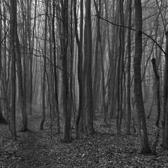 fervent fog (ominous tension)