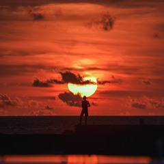 赵砚卿 - 有幸【動態歌詞/Lyrics Video】